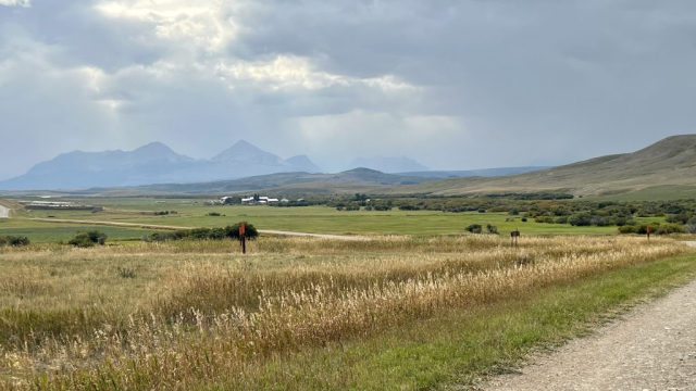 View of the Ranch with Glacier National Park in the Distance