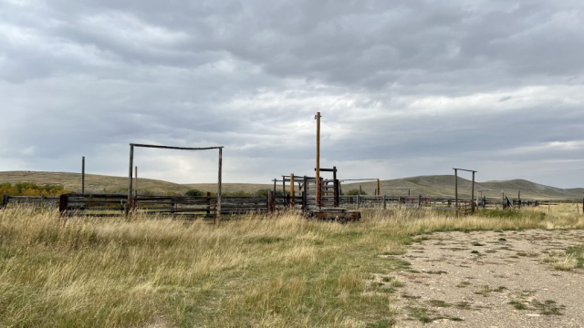 Livestock Pens