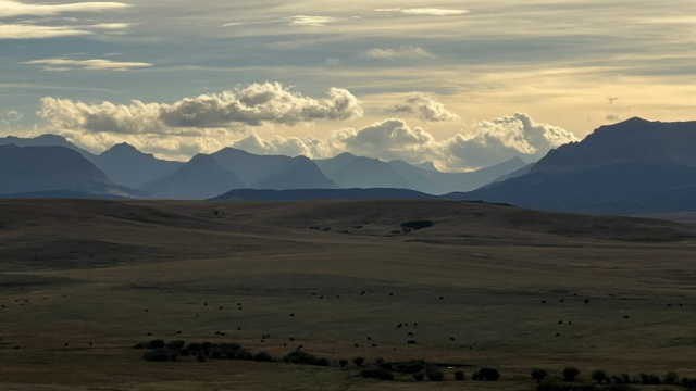 Glacier National Park in the Distance