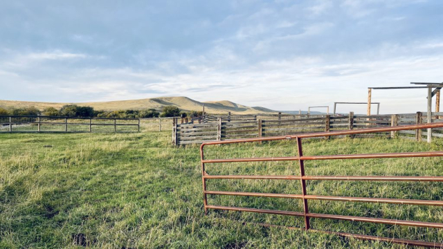 Livestock Pens - Something Happened When I Stepped in Here